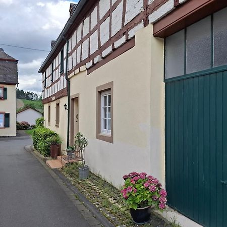 Ferienhaus N° 14 Mulheim an der Mosel Zewnętrze zdjęcie